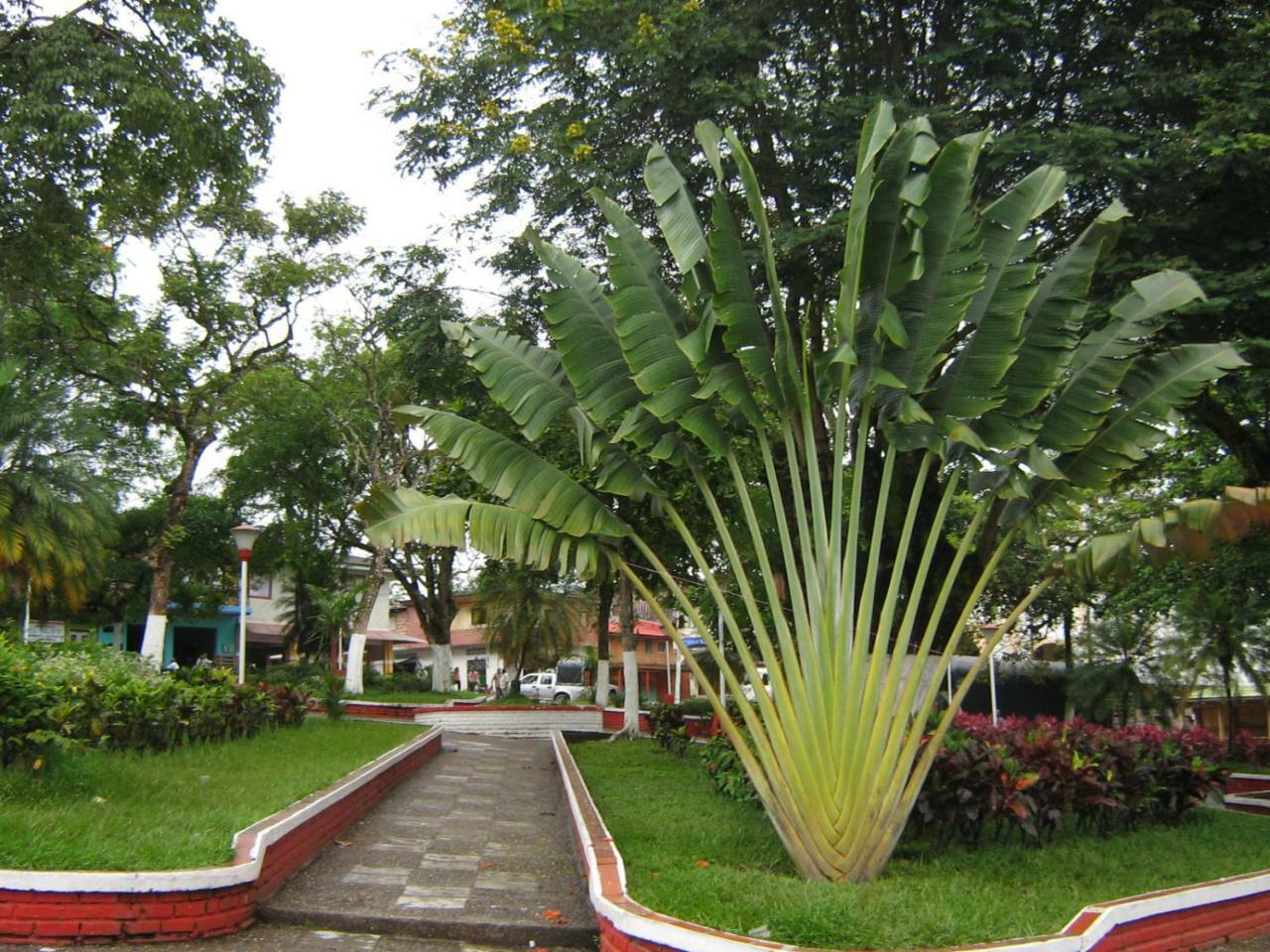 Hotel Casa Trujillo Norcasia Zewnętrze zdjęcie